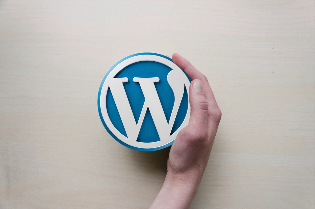 Wordpress logo, brand icon. Location
