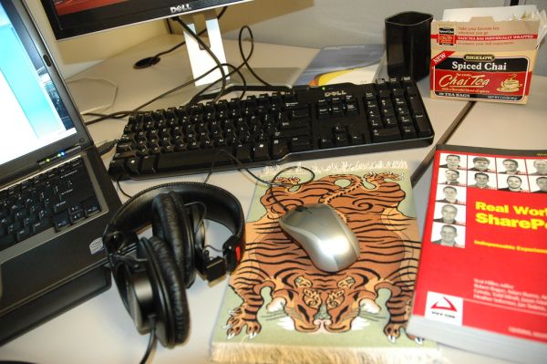 Work space, Microsoft Custom Development Solutions Technical Innovation Partner of the Year 2006, Tiger mousepad, San Francisco, California, 20 floors up, USA