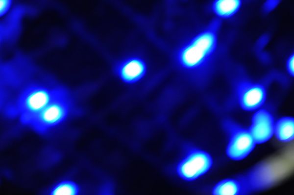 Worried Life Blues - Sleepy John Estes, Blue lights bare Christmas tree Seattle Washington USA