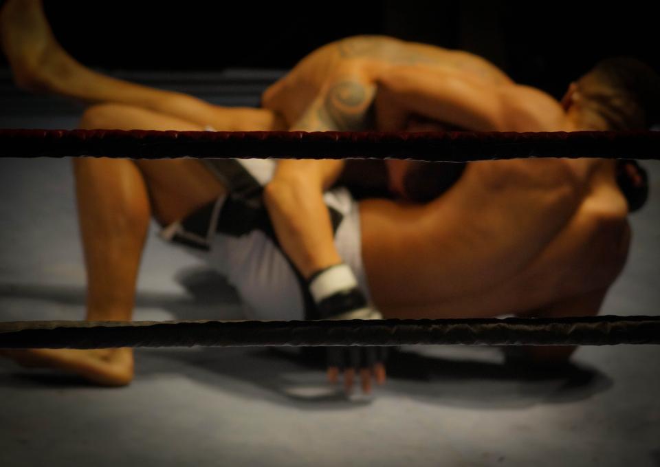 Wrestling Fighting