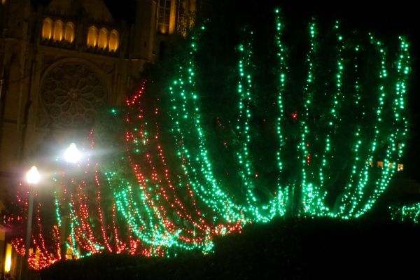 Xmas lights 1