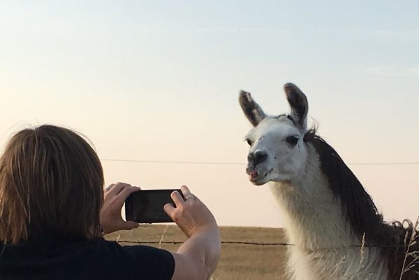 'You Will Make Me Look Good on Social Media?'