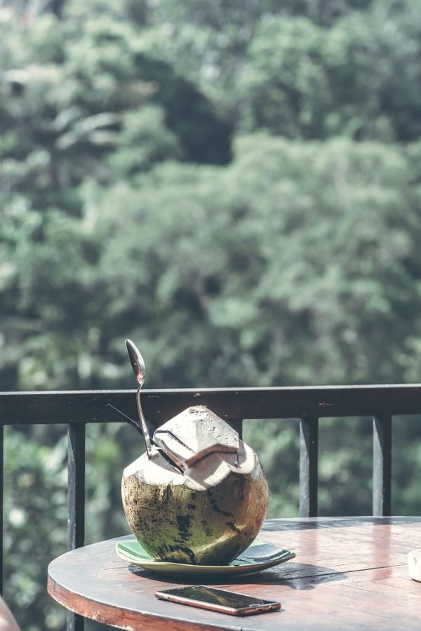 Young fresh organic coconut on a waterfall background in the jungle of Bali island.