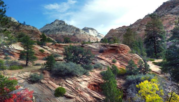 Zion National Park.