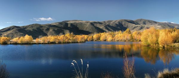 Autumn scene NZ