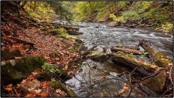 Beaverdams Creek