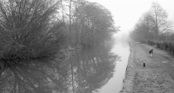 Canal Bank