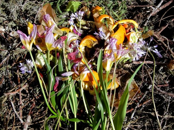 Composted