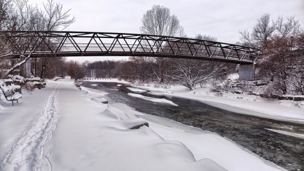 Erindale Park, Mississauga