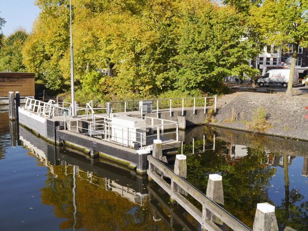 Free photo of Amsterdam: picture of urban trees along the canal-water, seen from the bridge, photography The Netherlands