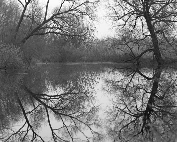 High water reflection