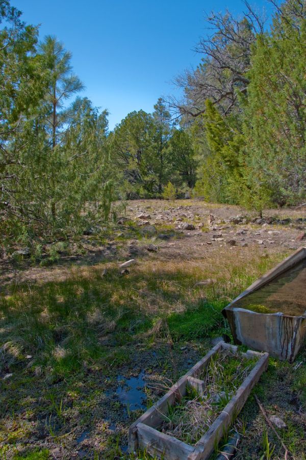 Kelsey Trail