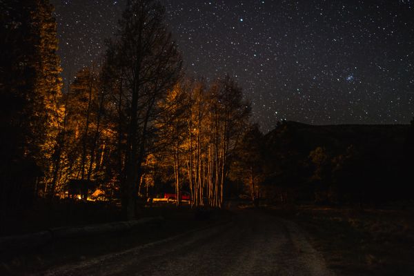 Lockett Meadow