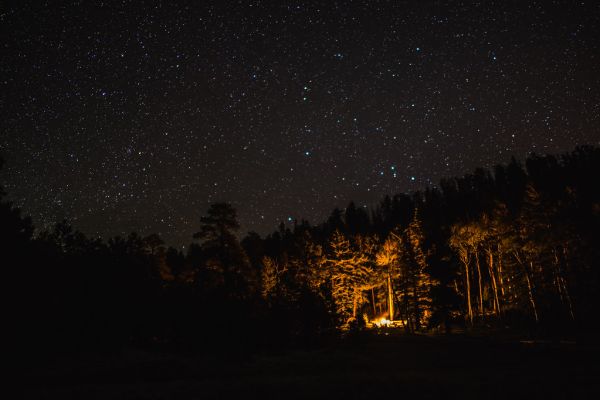 Lockett Meadow