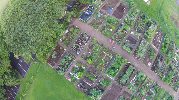 Manoa Community Gardens