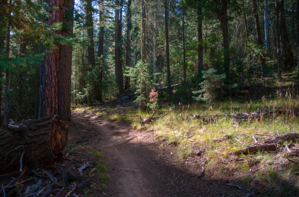 Sunset Trail No. 23