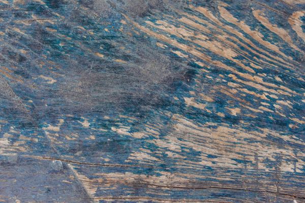 Texture