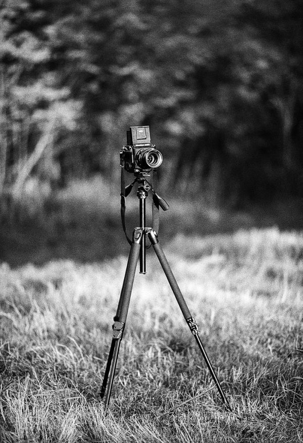 the Mamiya is out, something's coming :)