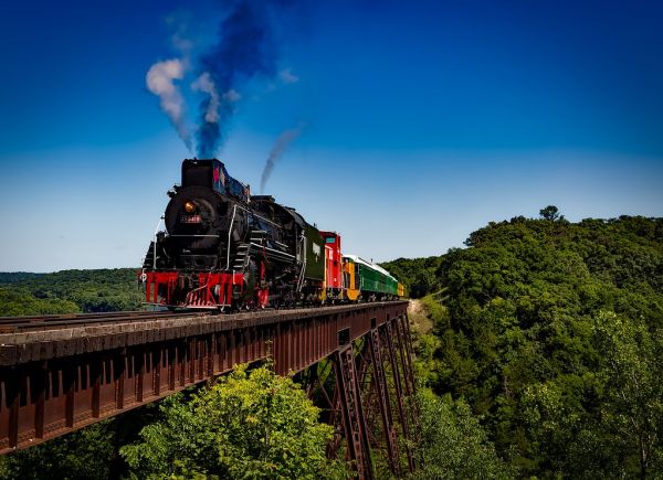 Train in forest