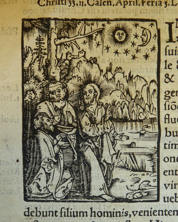Woodcut illustration of Luke 21:25ff (Jesus teaching his disciples that the end will be heralded by signs in the heavens), used by Peter Quentel of Cologne